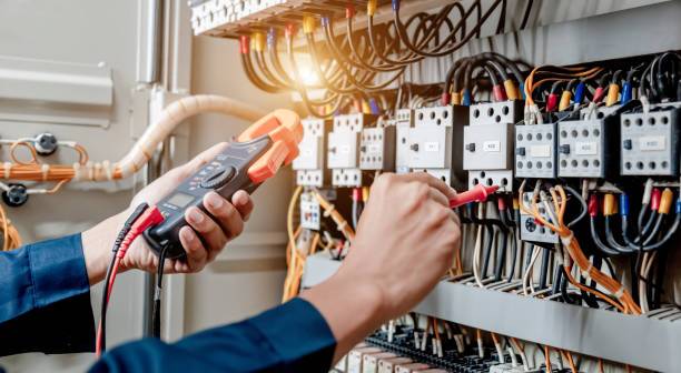 Best Electrical System Inspection  in Palmetto, GA